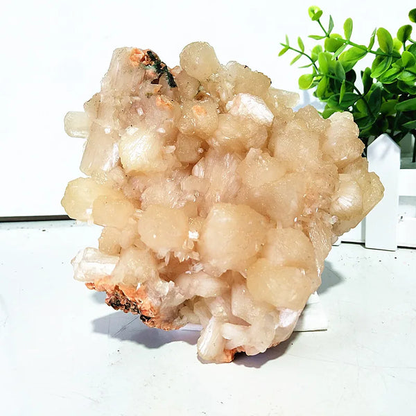 White Apophyllite Zeolite Crystal-ToShay.org