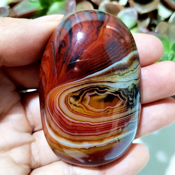Red Flower Agate Palm Stone-ToShay.org