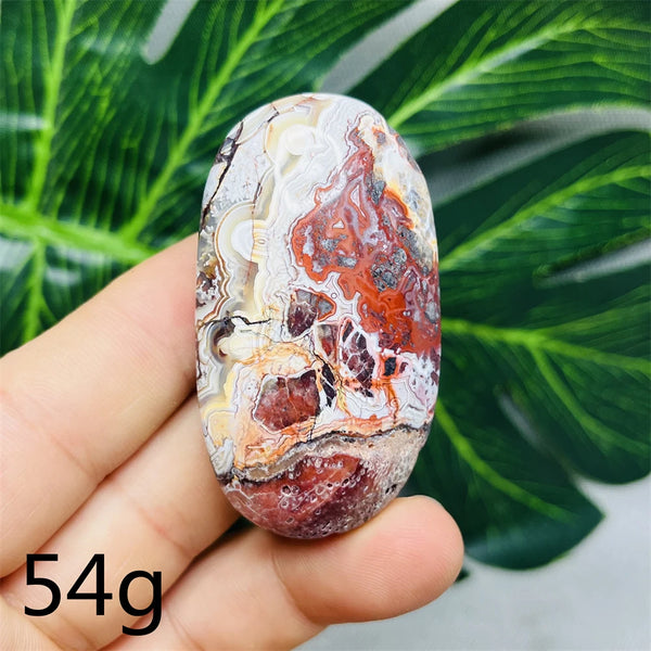 Red Crazy Agate Palm Stone-ToShay.org