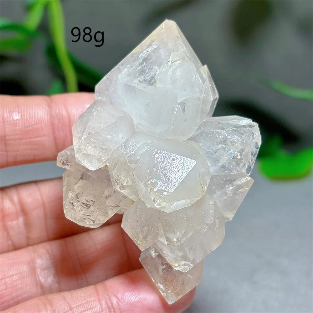 Clear Lotus Backbone Quartz Cluster-ToShay.org