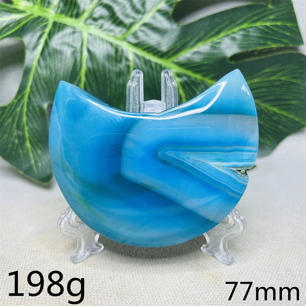 Blue Lace Geode Agate-ToShay.org