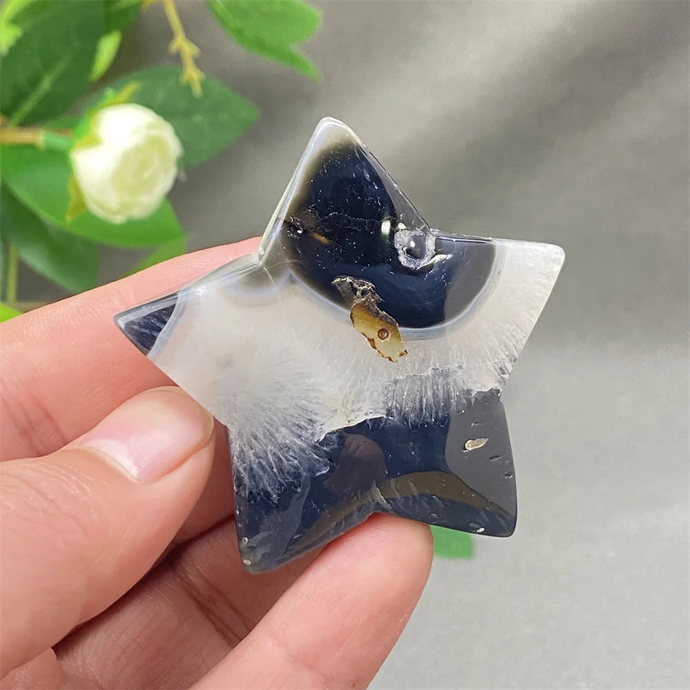 Black Cherry Blossom Agate-ToShay.org