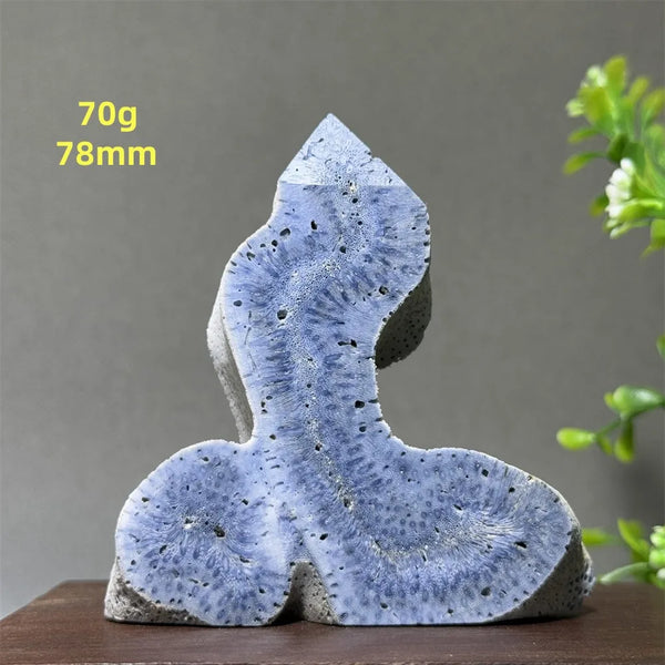 Blue Coral Crystal-ToShay.org