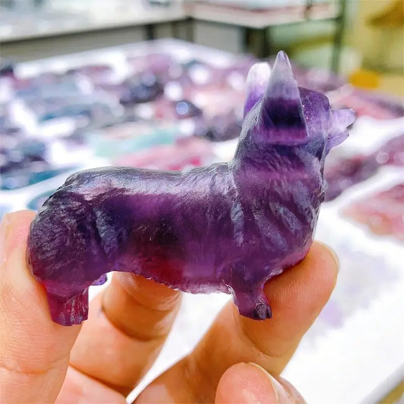 Purple Fluorite Dog-ToShay.org