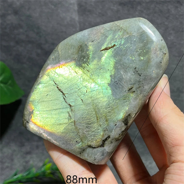 Blue Labradorite Crystal-ToShay.org