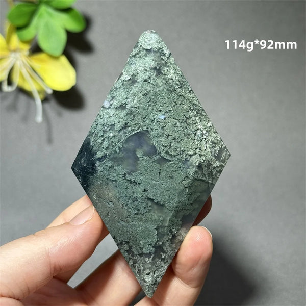 Green Aquatic Plant Agate-ToShay.org