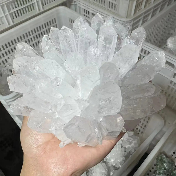White Quartz Crystal Cluster-ToShay.org