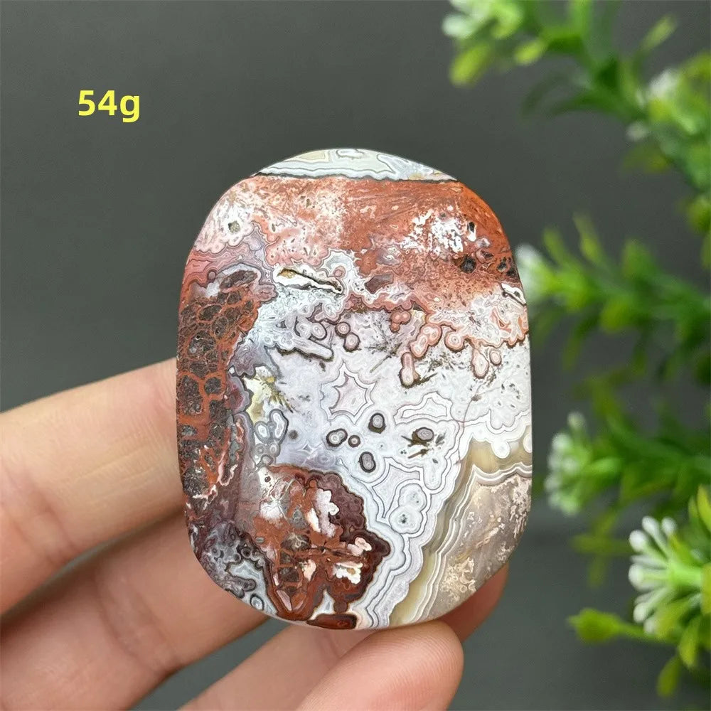 Red Agate Palm Stone-ToShay.org