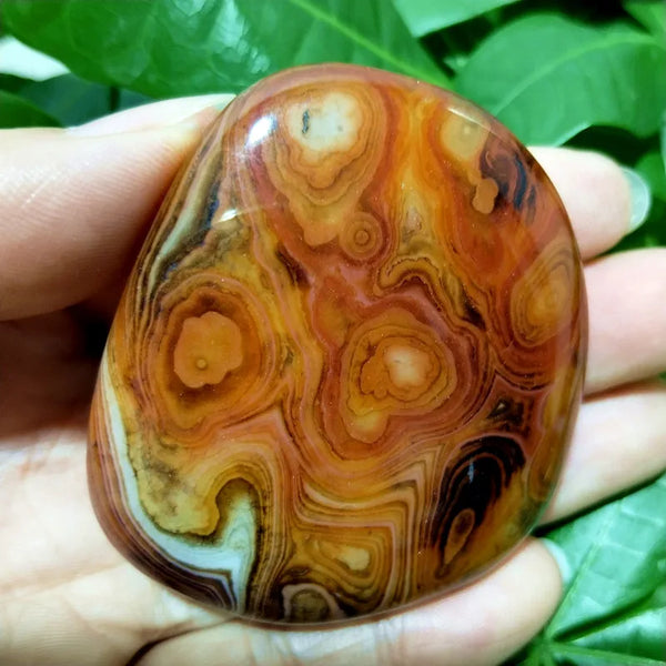 Red Sardonyx Agate-ToShay.org