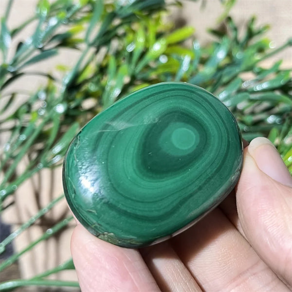 Green Malachite Palm Stone-ToShay.org