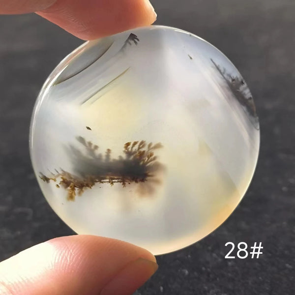 White Onyx Ocean Chalcedony-ToShay.org