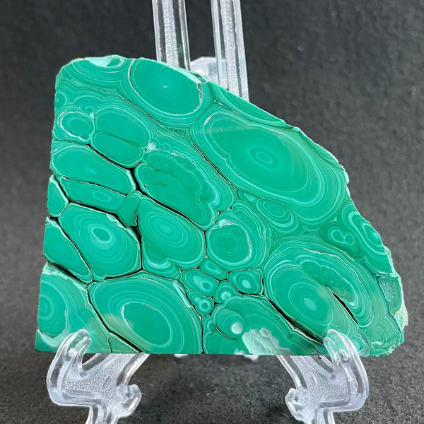 Green Malachite Slices-ToShay.org