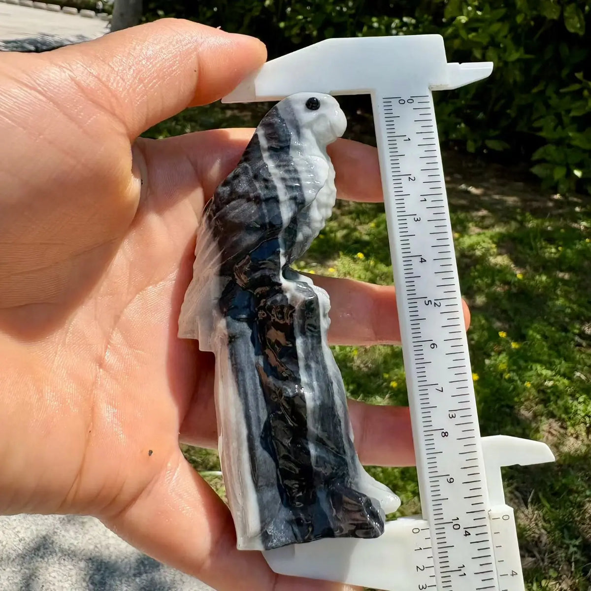 Mixed Quartz Parrots-ToShay.org