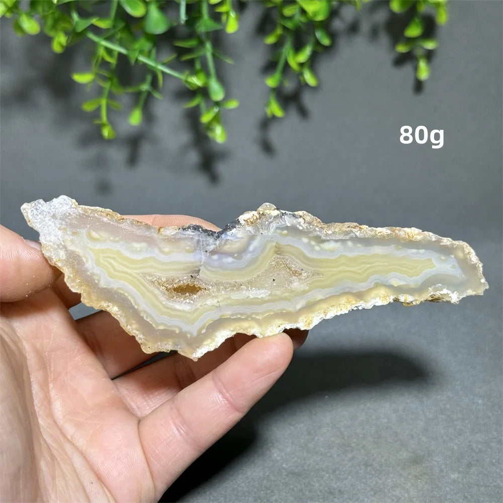 Yellow Agate Slice-ToShay.org