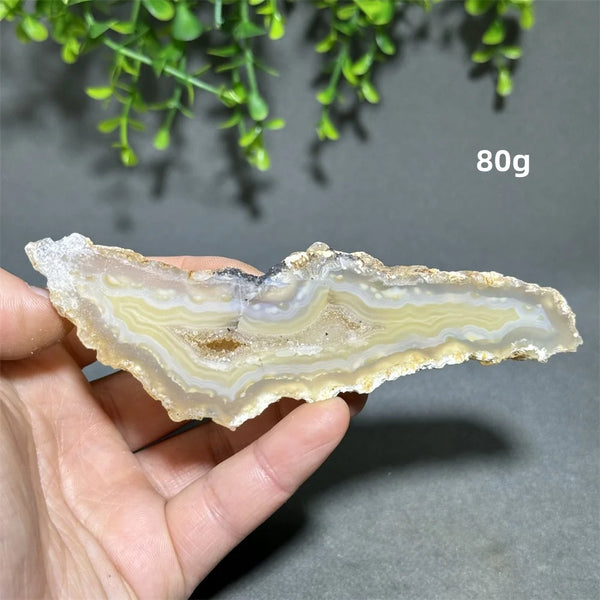 Yellow Agate Slice-ToShay.org