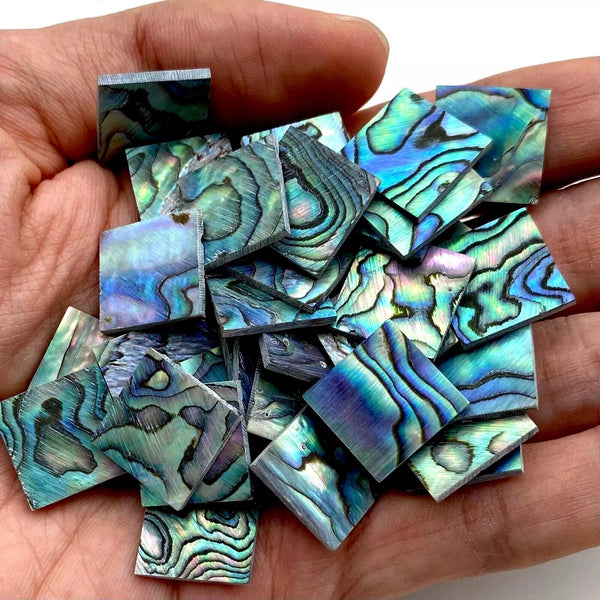 Blue Abalone Shell Slice-ToShay.org