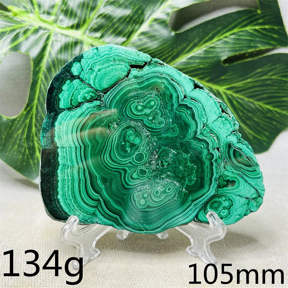 Green Malachite Slice-ToShay.org