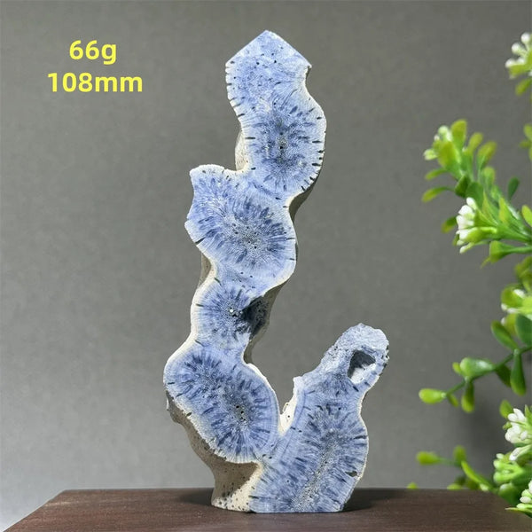 Blue Coral Crystal-ToShay.org