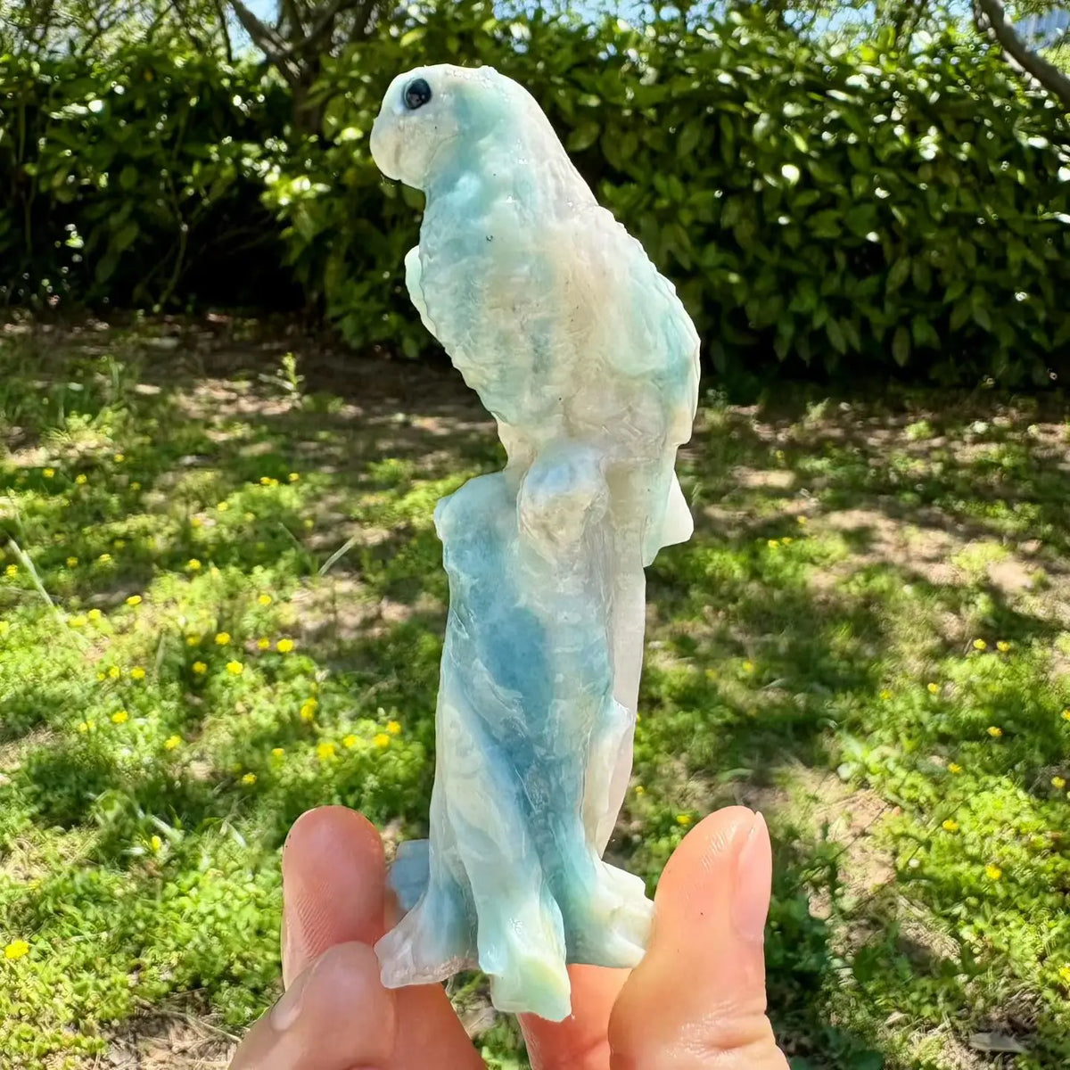 Mixed Quartz Parrots-ToShay.org