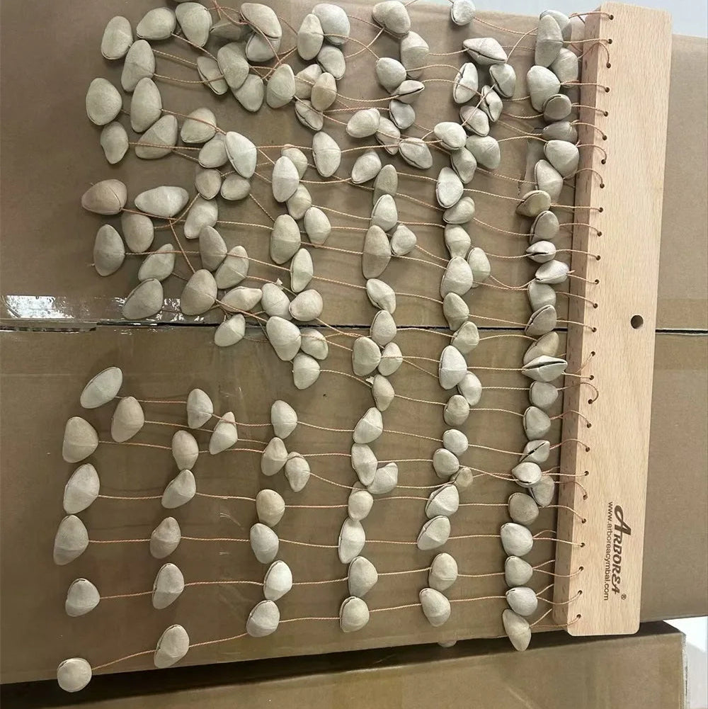 Seed Shell Chimes-ToShay.org