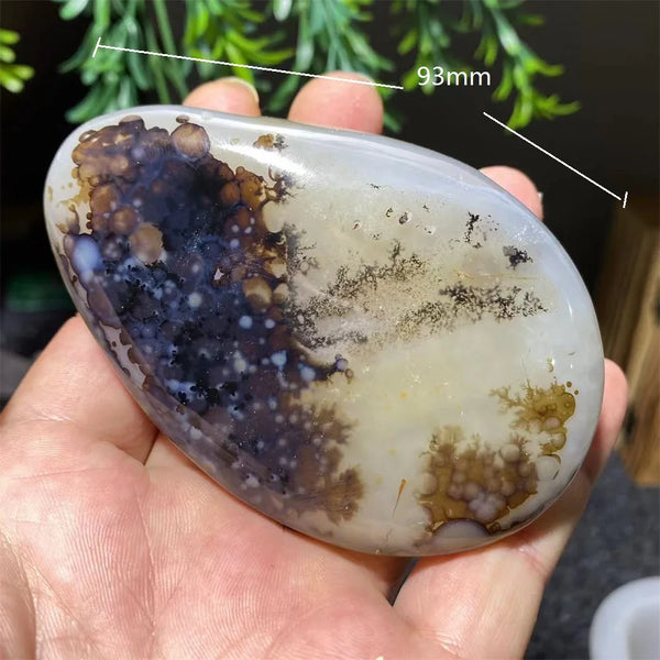 White Ink Moss Tree Agate-ToShay.org