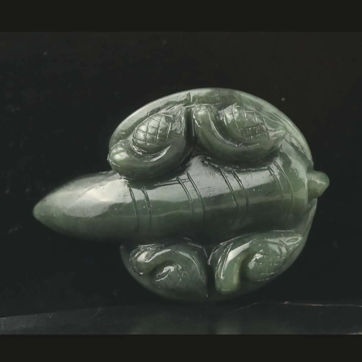 Green Jade Turtle-ToShay.org
