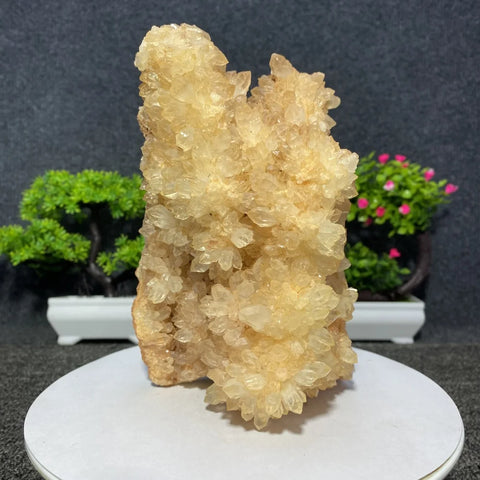 White Quartz Crystal Cluster-ToShay.org