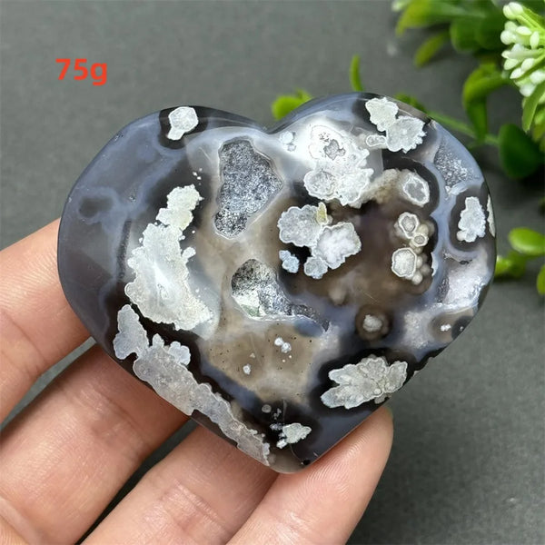 Black Cherry Blossom Agate-ToShay.org