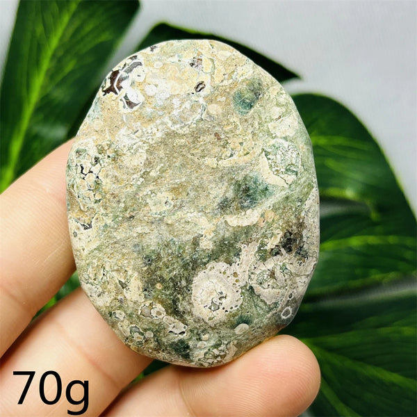 Australian Natural Opal Agate Stone Palmstone Raw Mineral Specimens Home Room Decoration Holiday Gifts Spiritual Healing-ToShay.org