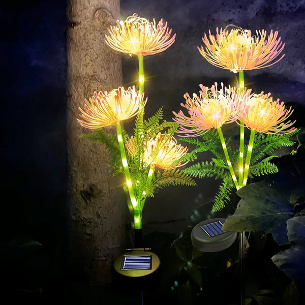 Flower Lights-ToShay.org