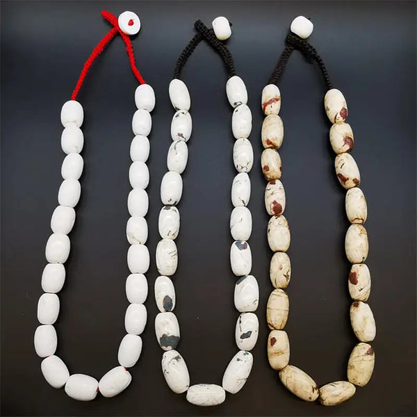 White Conch Shell Necklaces-ToShay.org