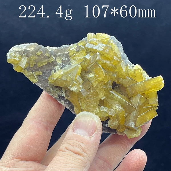 Yellow Diluent Cluster-ToShay.org