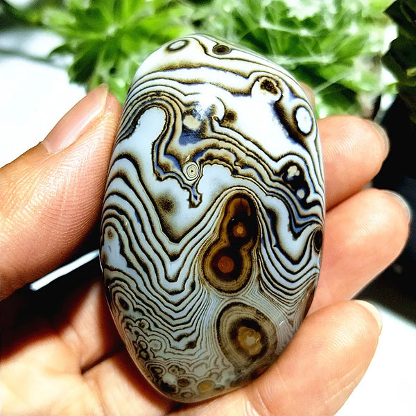 Red Flower Agate Palm Stone-ToShay.org
