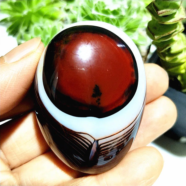 Red Flower Agate Palm Stone-ToShay.org