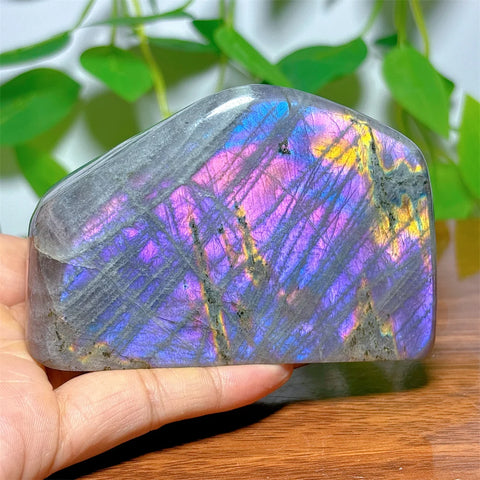 Purple Labradorite-ToShay.org