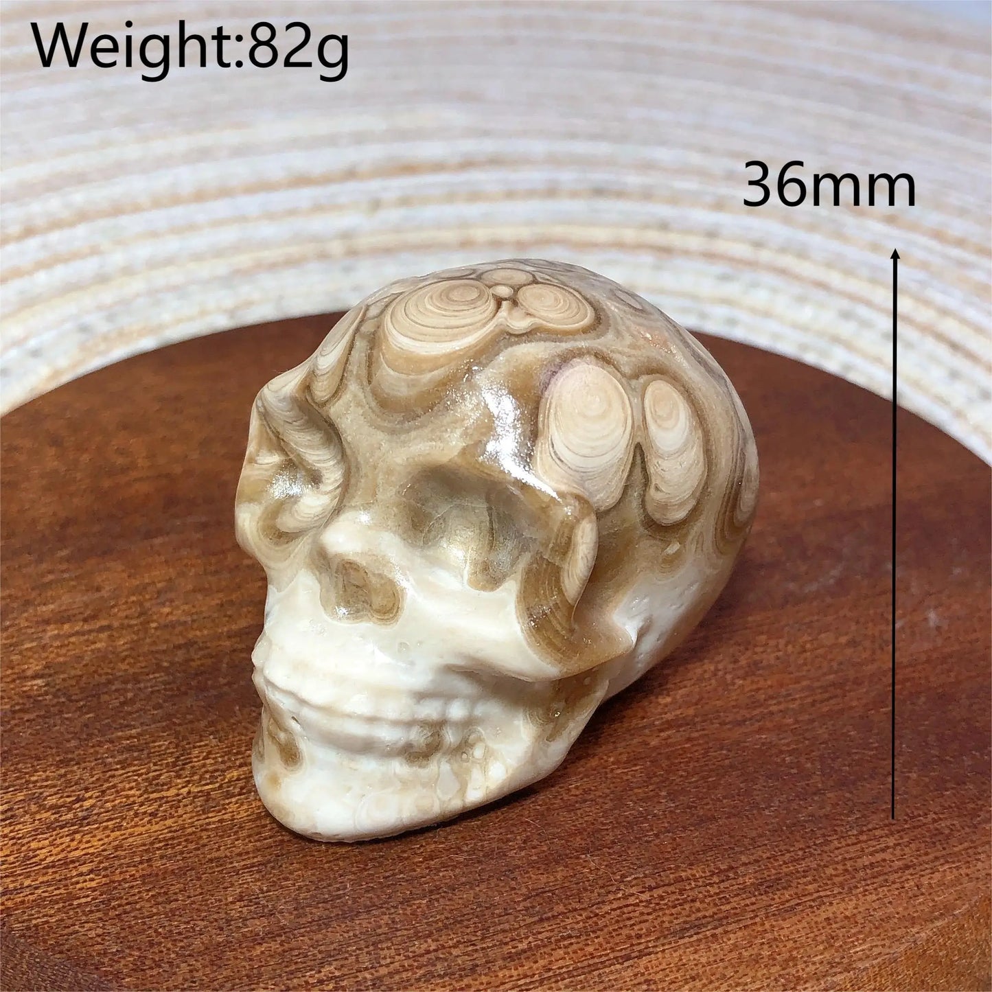 White Chocolate Calcite Skull-ToShay.org