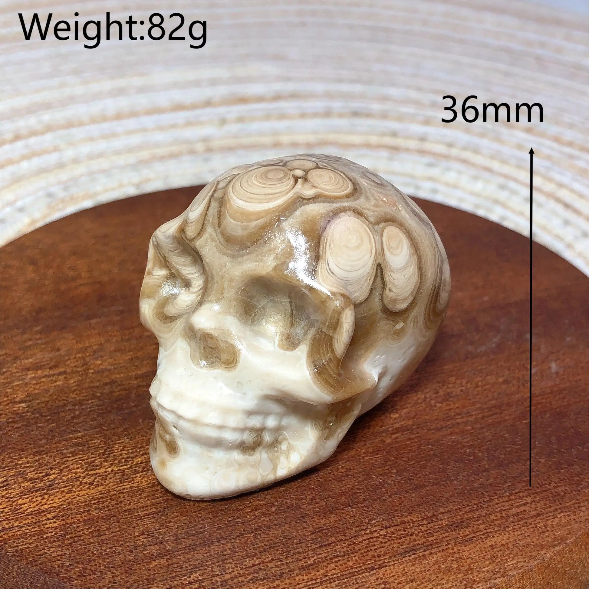 White Chocolate Calcite Skull-ToShay.org
