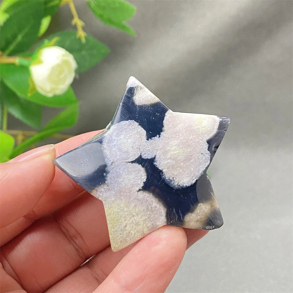 Black Cherry Blossom Agate-ToShay.org