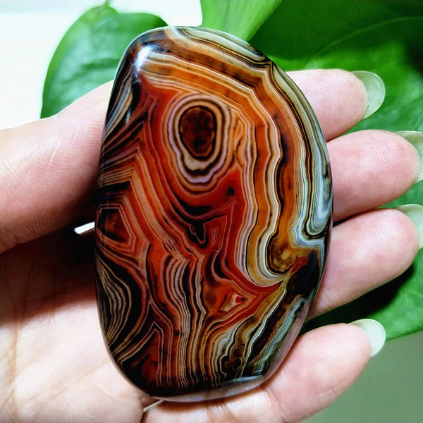 Red Lace Sardonyx Agate-ToShay.org