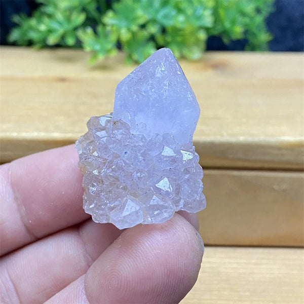 Purple Cactus Crystal Cluster-ToShay.org