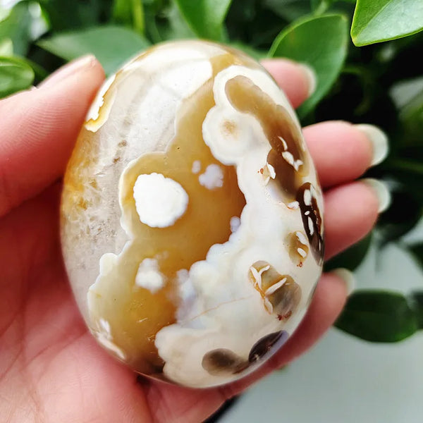 Mixed Lace Sardonyx Agate-ToShay.org