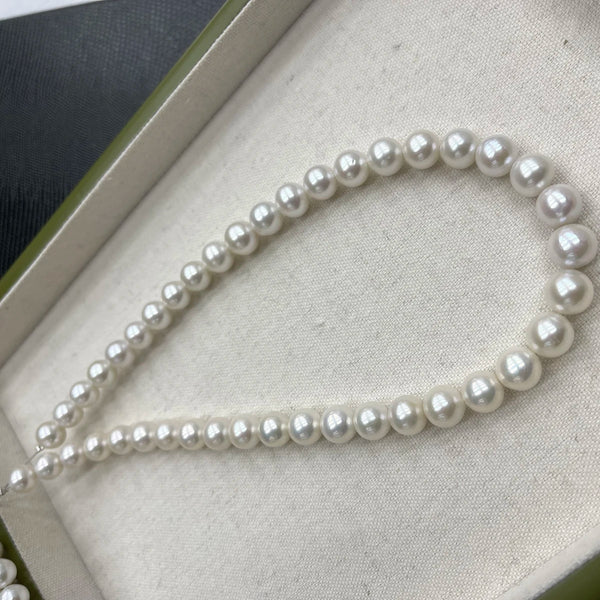 White Pearl Beads-ToShay.org