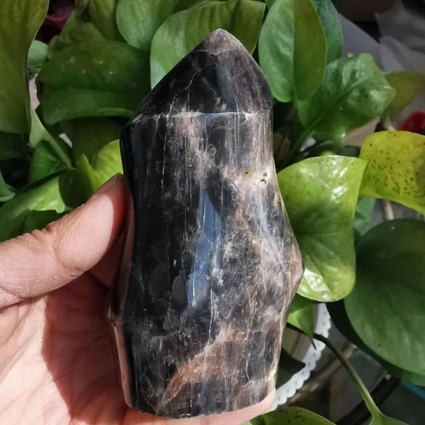 Black Moonstone Crystal Flame-ToShay.org