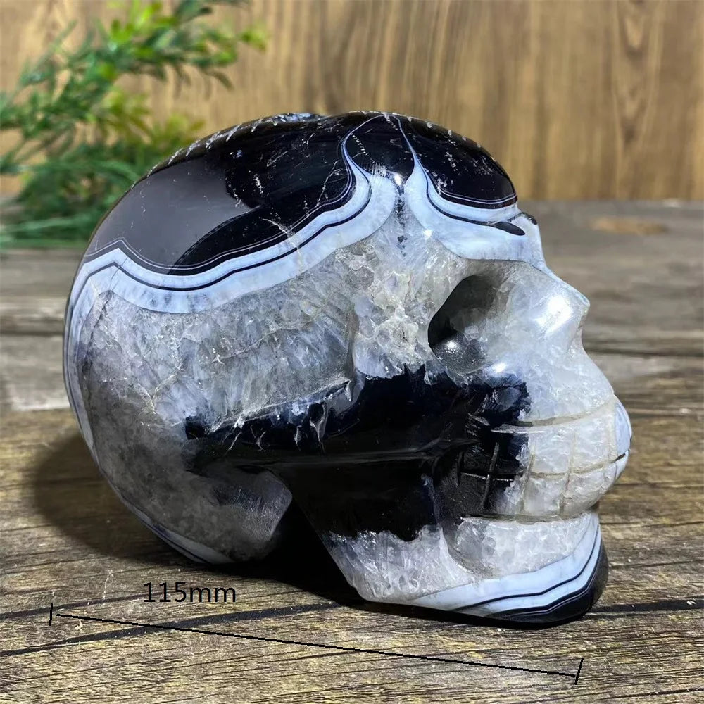 Black Agate Skull-ToShay.org