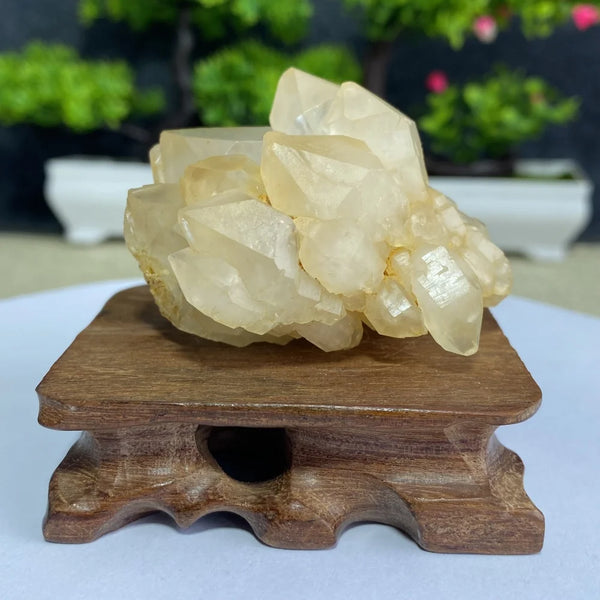 White Quartz Crystal Cluster-ToShay.org