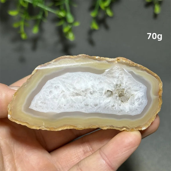 Yellow Agate Slice-ToShay.org