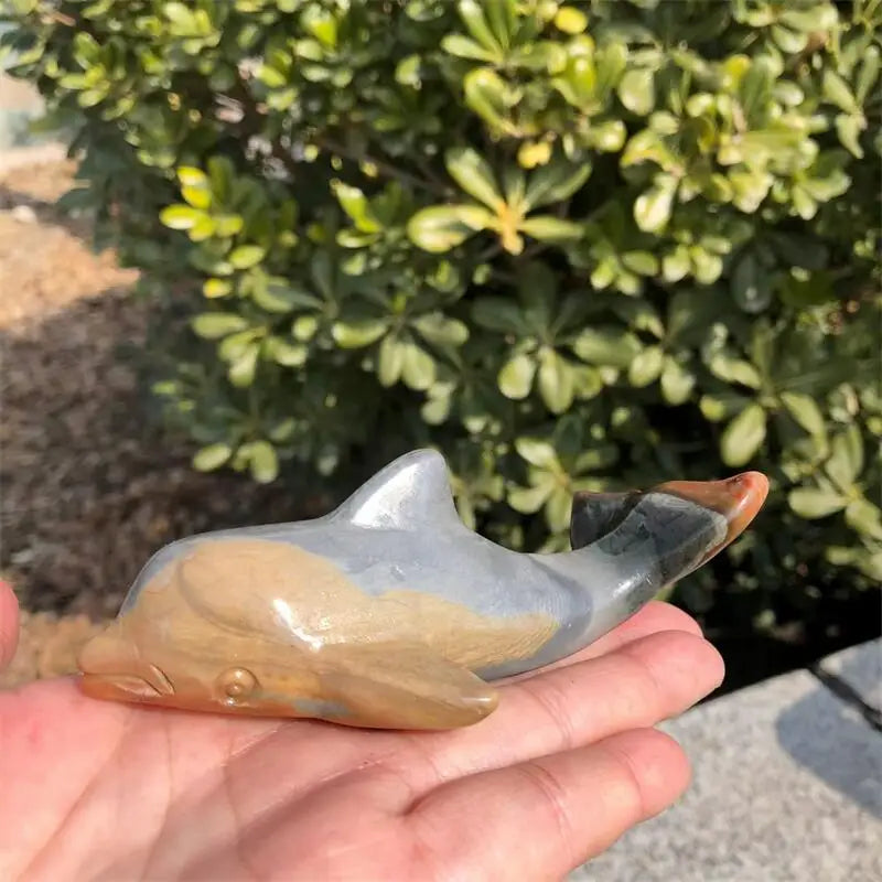 Ocean Jade Dolphin-ToShay.org