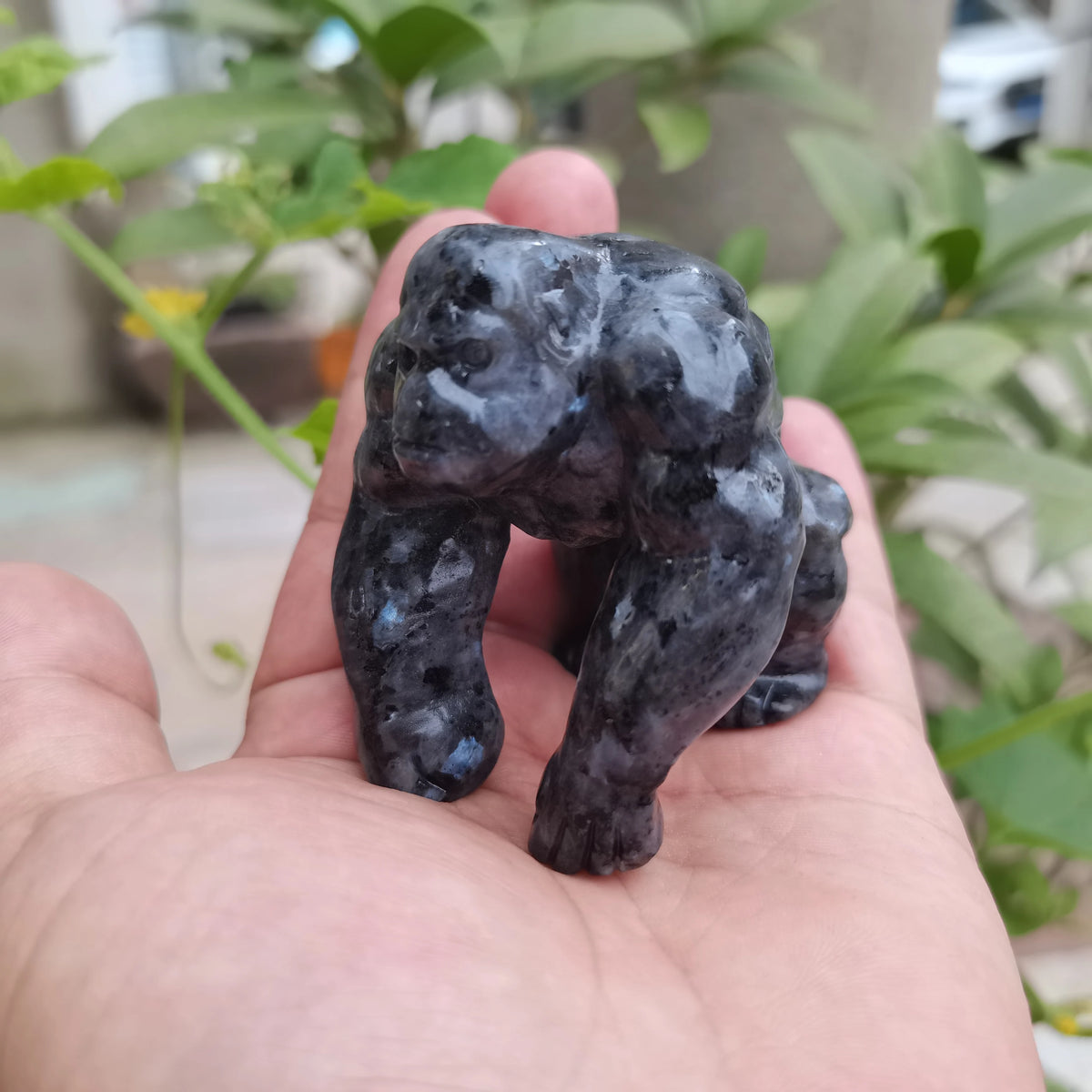 Black Obsidian Ape-ToShay.org