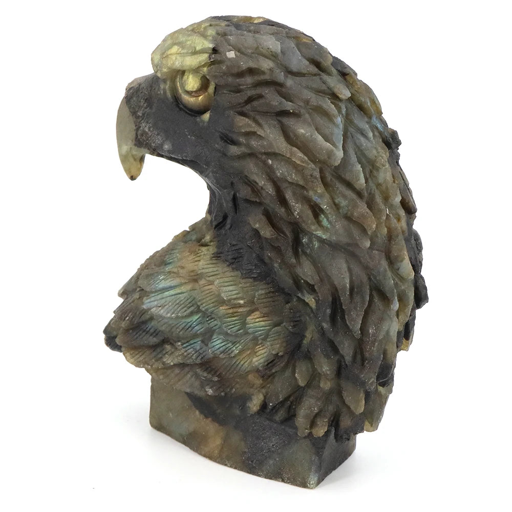 Blue Labradorite Eagle Head-ToShay.org