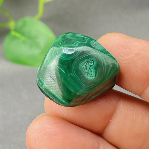 Green Malachite Tumbled Stone-ToShay.org
